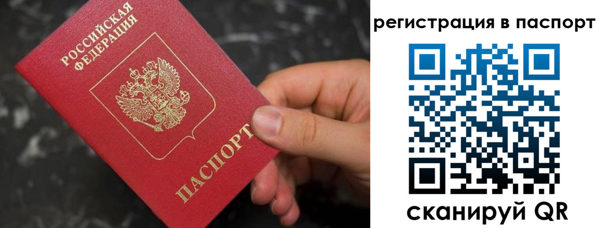 прописка регистрация в Оленегорске